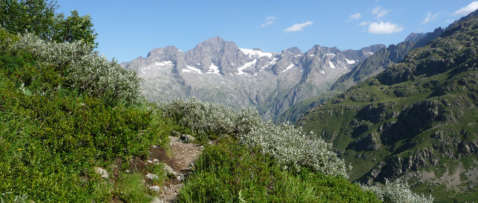 Chabournéou
